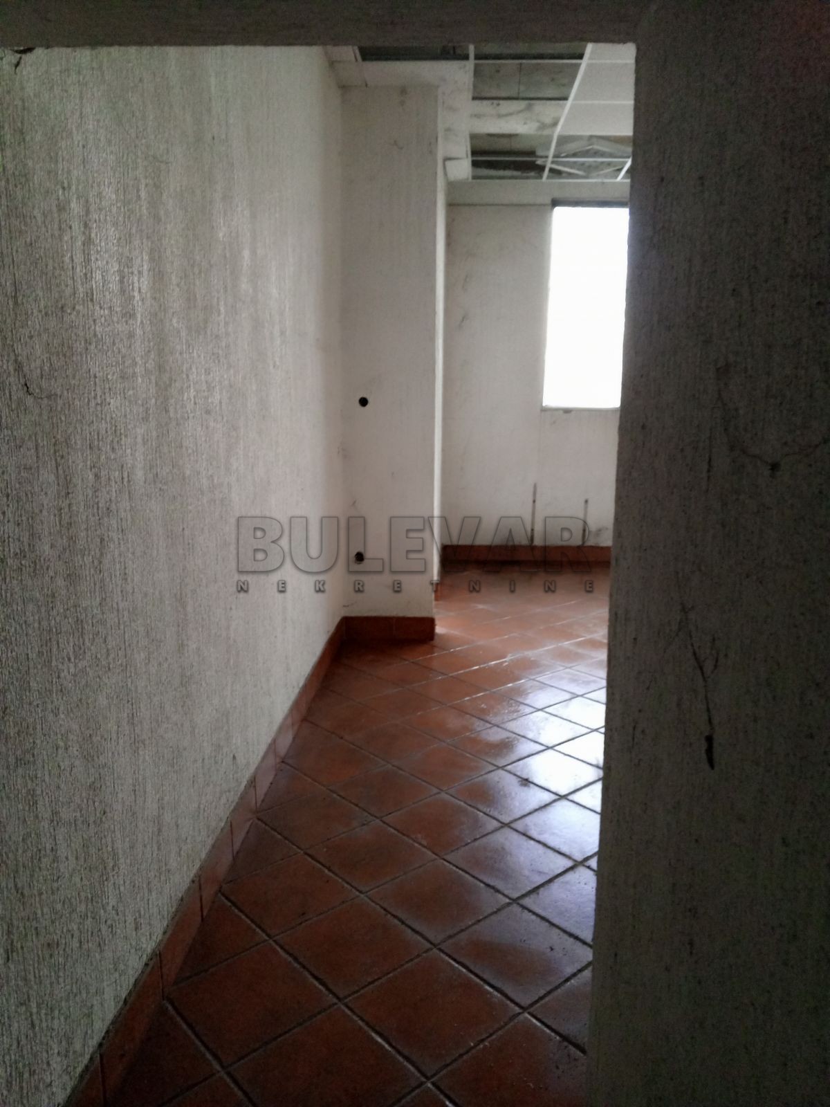 Lokal, 616 m2, Belo Polje ID: p-011306 6