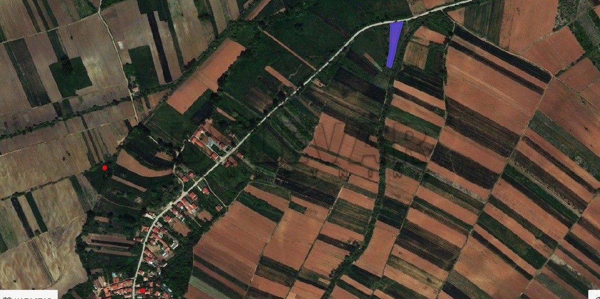 Plac, Barje Čiflik, Barje Čiflik ID: p-09036 2