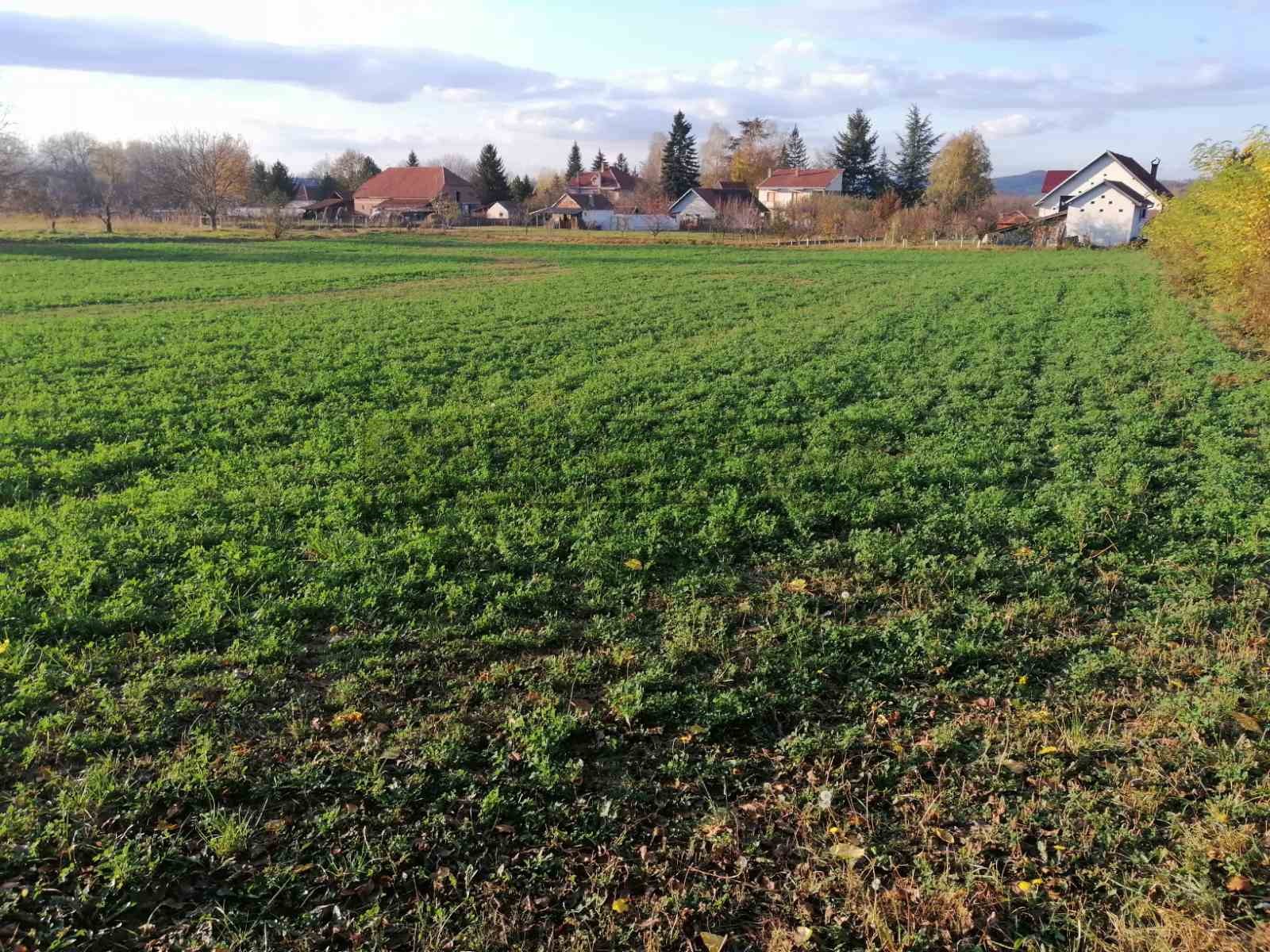 Plac, Botunje, Botunje ID: p-07406 3