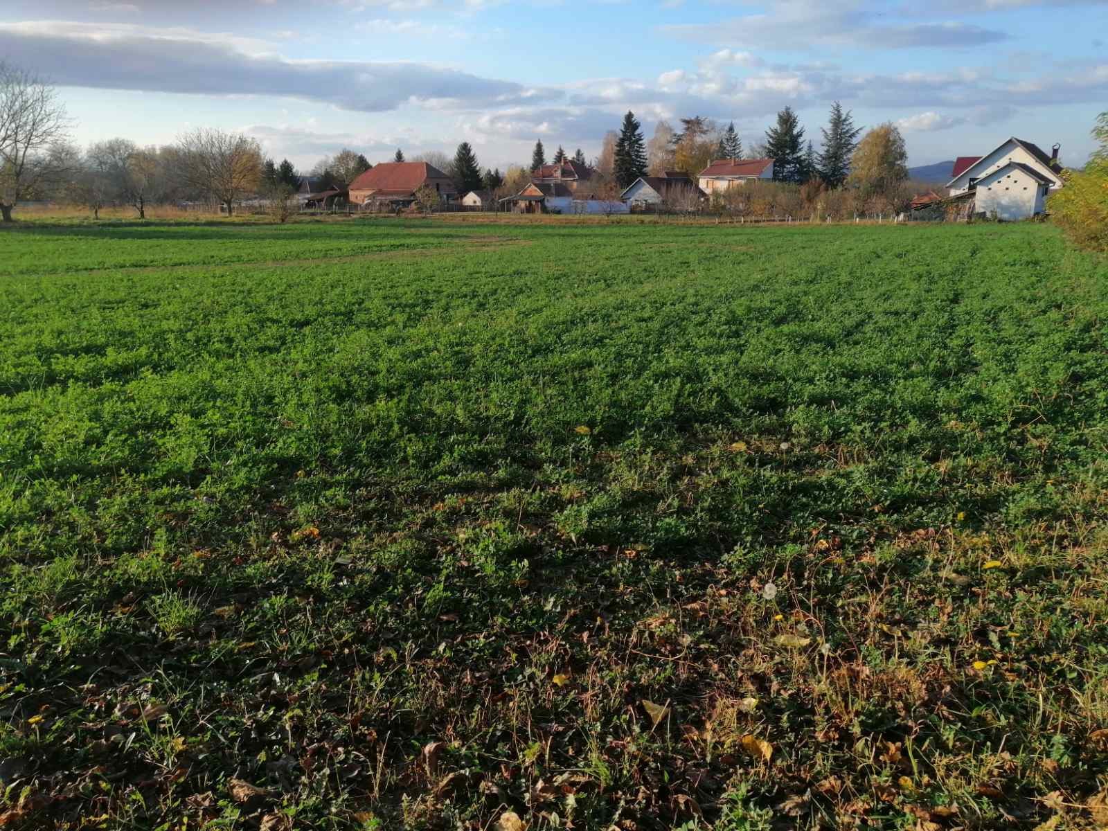 Plac, Botunje, Botunje ID: p-07406 5