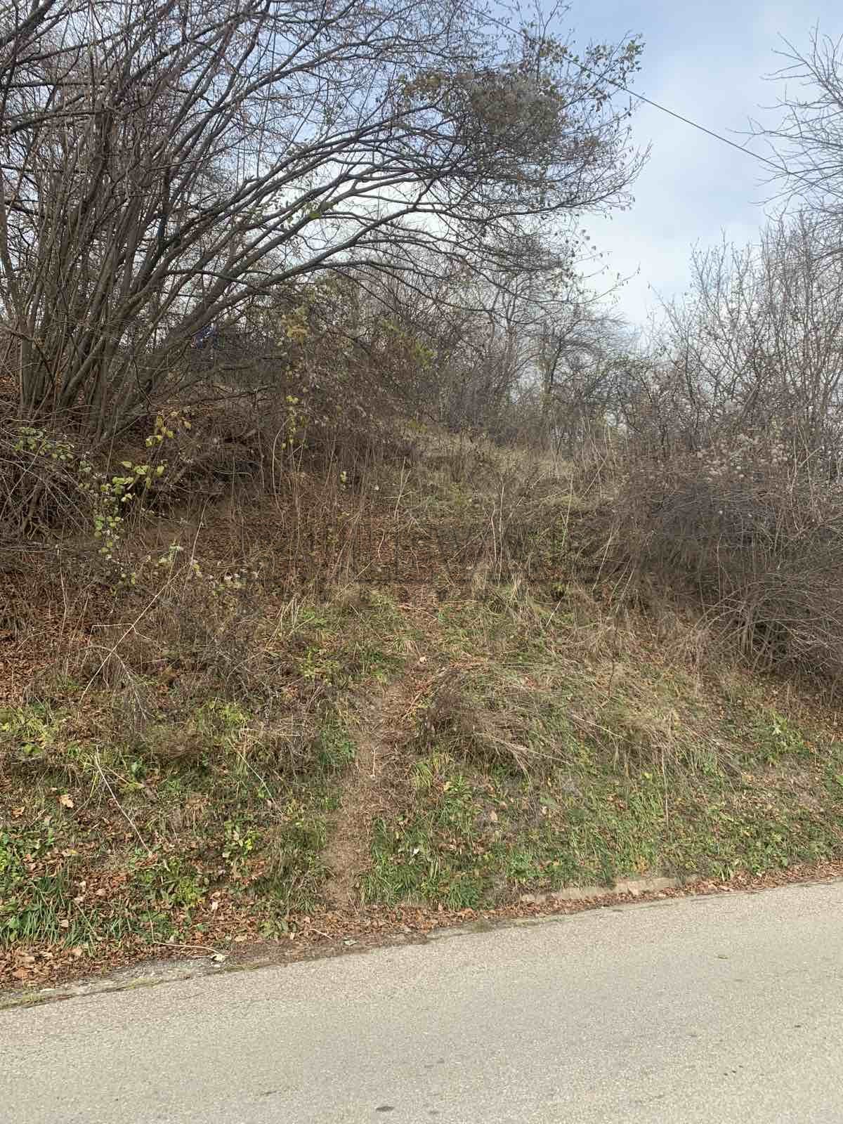 Plac, Brzeće ID: p-08530 1