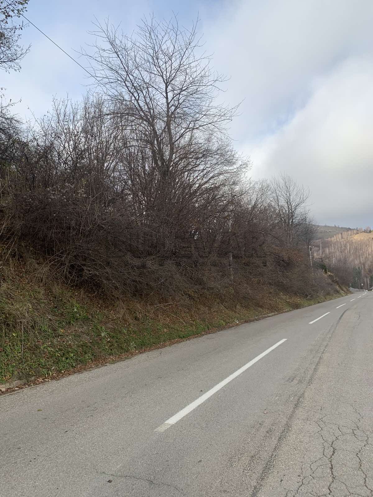 Plac, Brzeće ID: p-08530 3