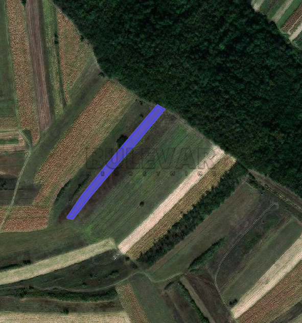 Plac, Doljevac ID: p-07003 1