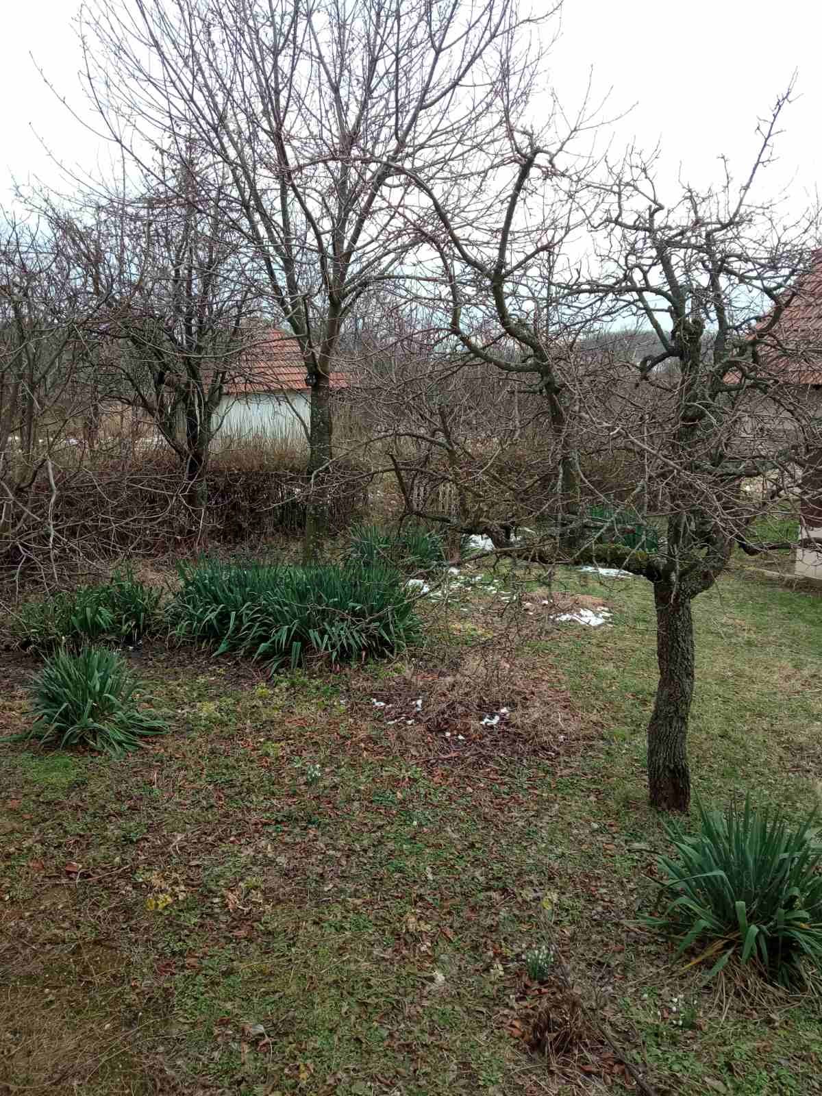 Plac, Drača, Dračka ID: p-010803 2