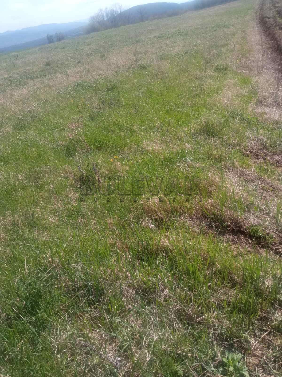 Plac, Drača, Gornjomilanovačka ID: p-08308 2