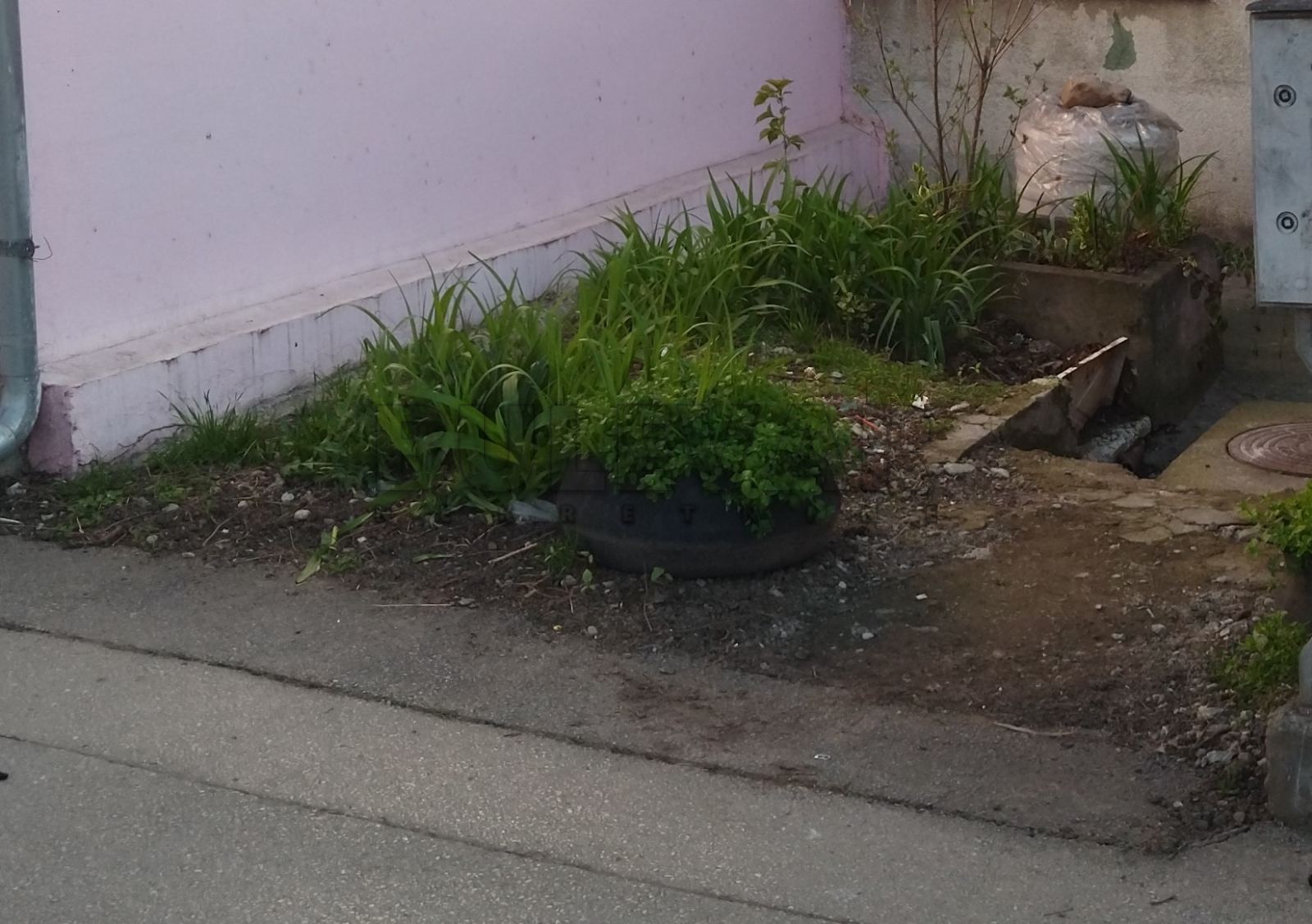 Plac, Durlan, Knjaževačka ID: i-011122 2