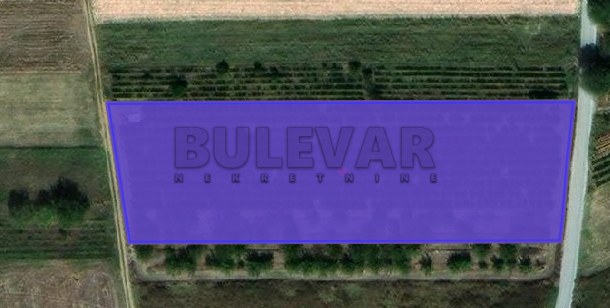 Plac, Gornja Trnava, Donja Trnava ID: p-010616 1