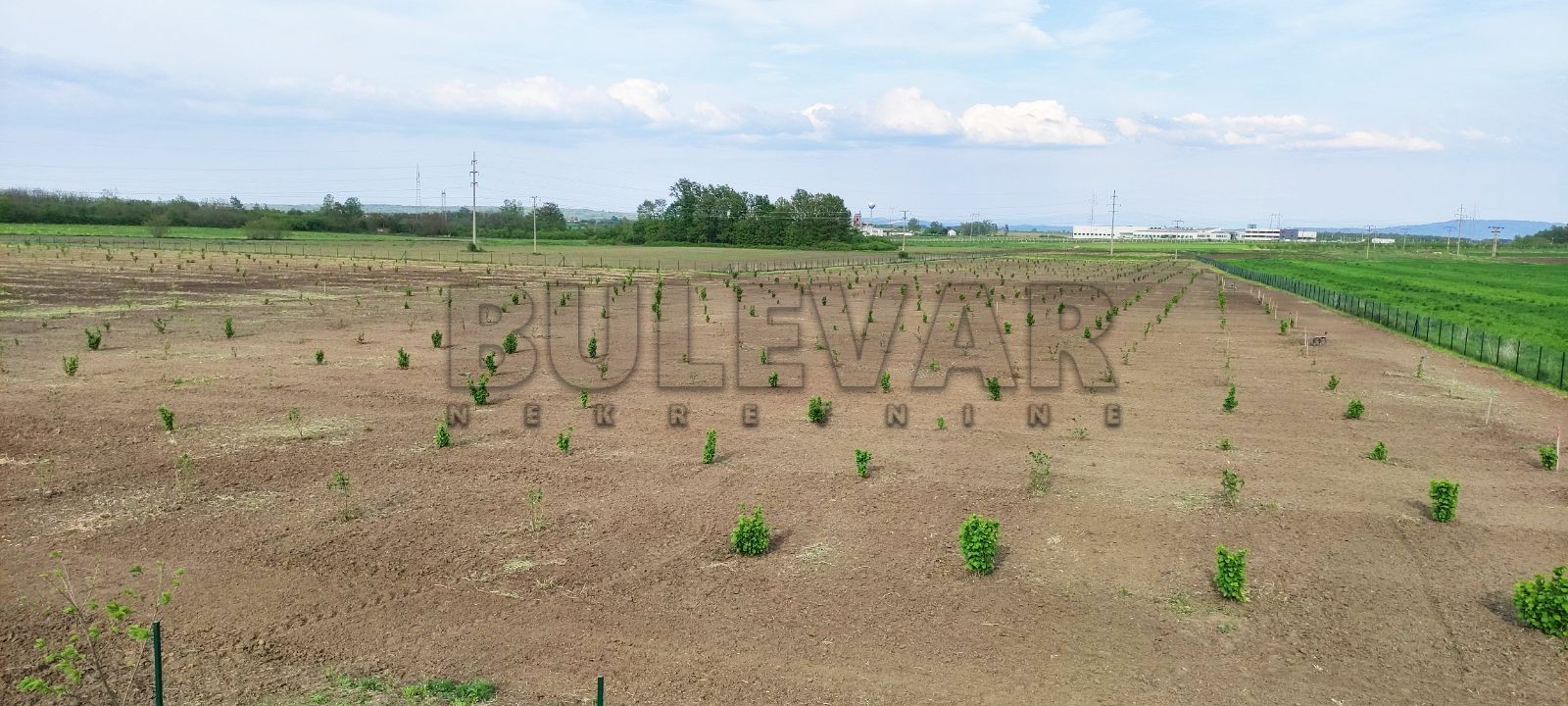 Plac, Gornje Jarušice, Gornje Jarušice ID: p-08611 2