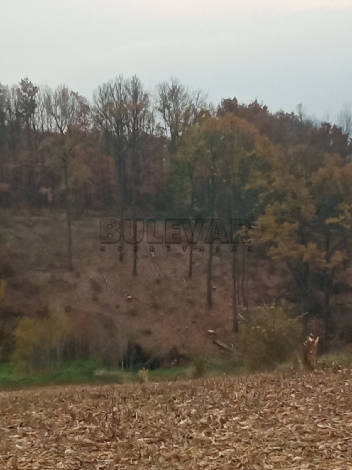 Plac, Grošnica, Grošnička ID: p-07199 1