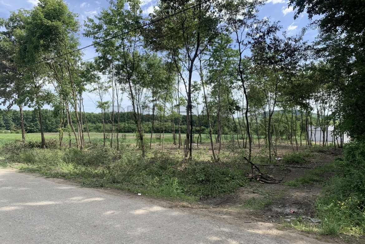 Plac, Guncati, Guncati ID: p-07058 1