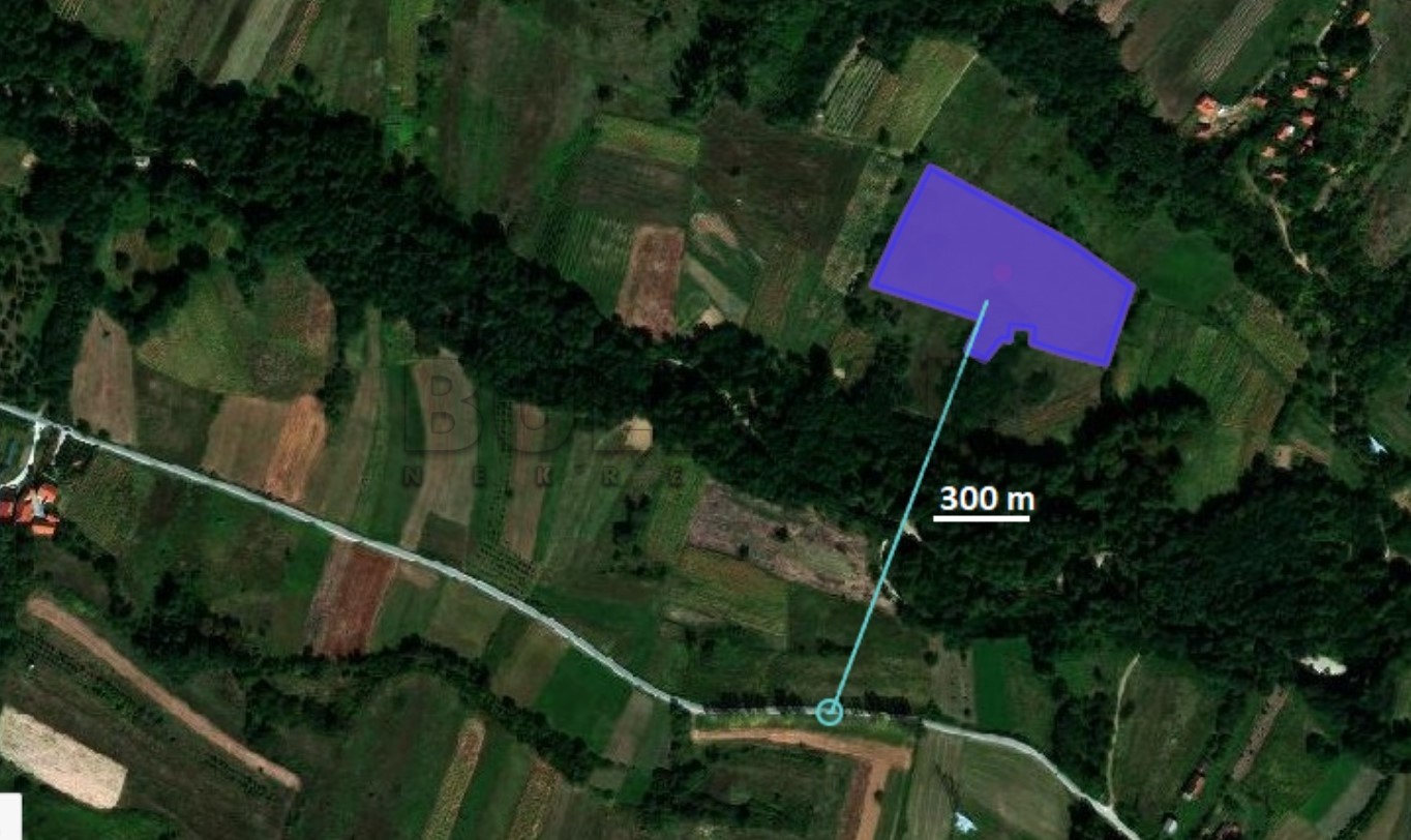 Plac, Jelašnica ID: p-010617 6