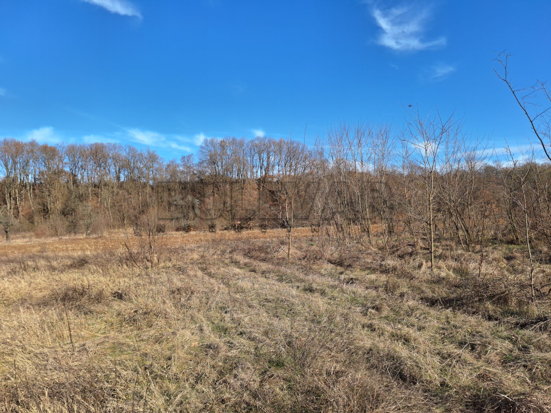 Plac, Jelašnica ID: p-010617 1