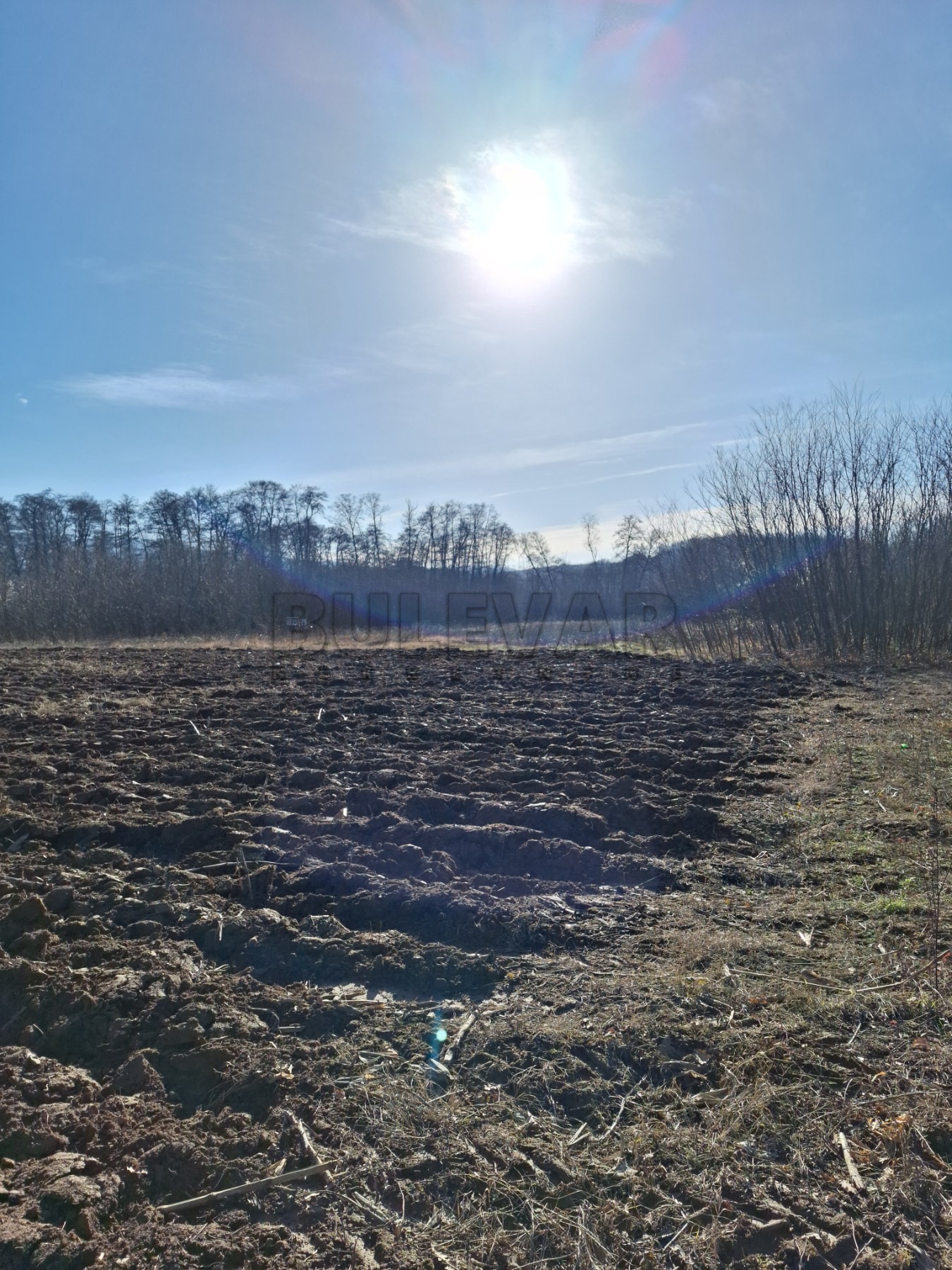 Plac, Jelašnica ID: p-010617 2