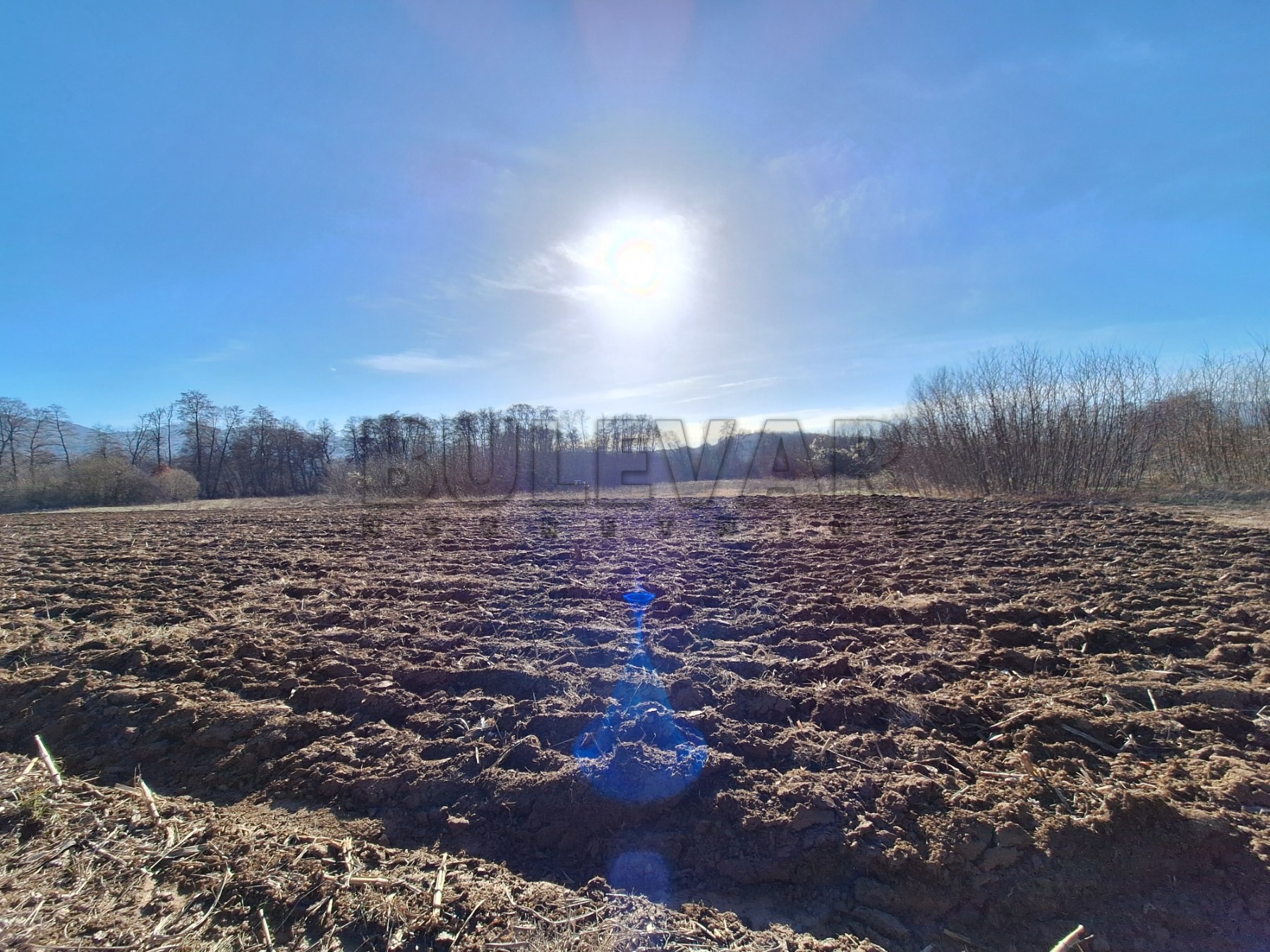 Plac, Jelašnica ID: p-010617 3