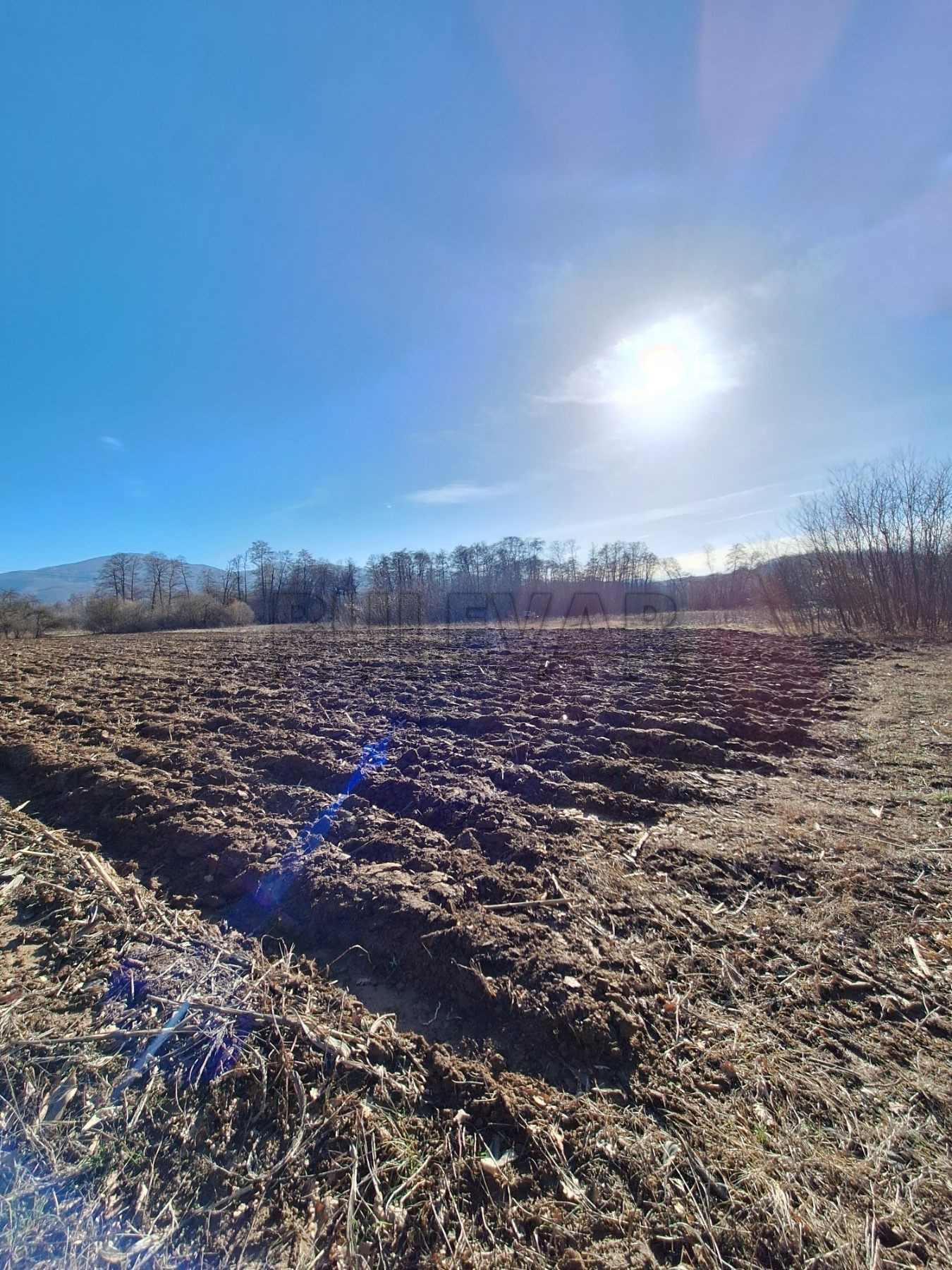 Plac, Jelašnica ID: p-010617 4