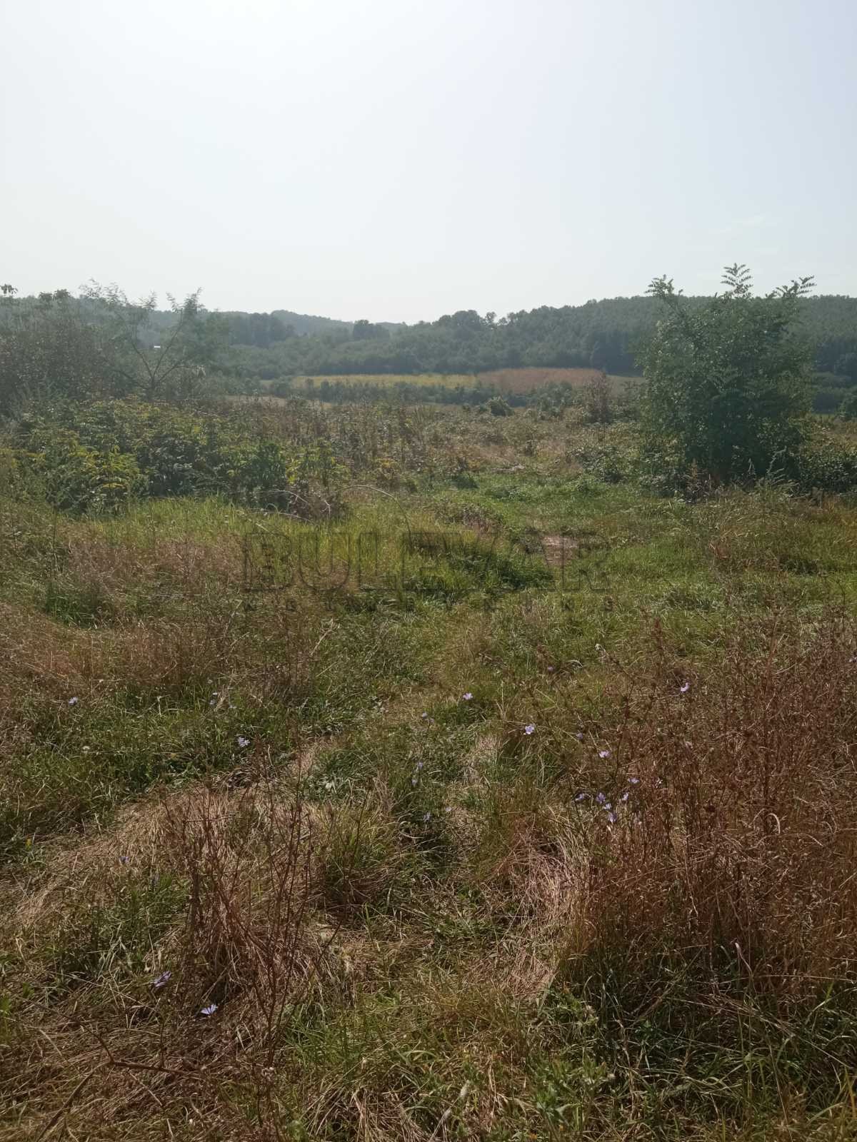 Plac, Kraljevačkog bataljona ID: p-09838 6