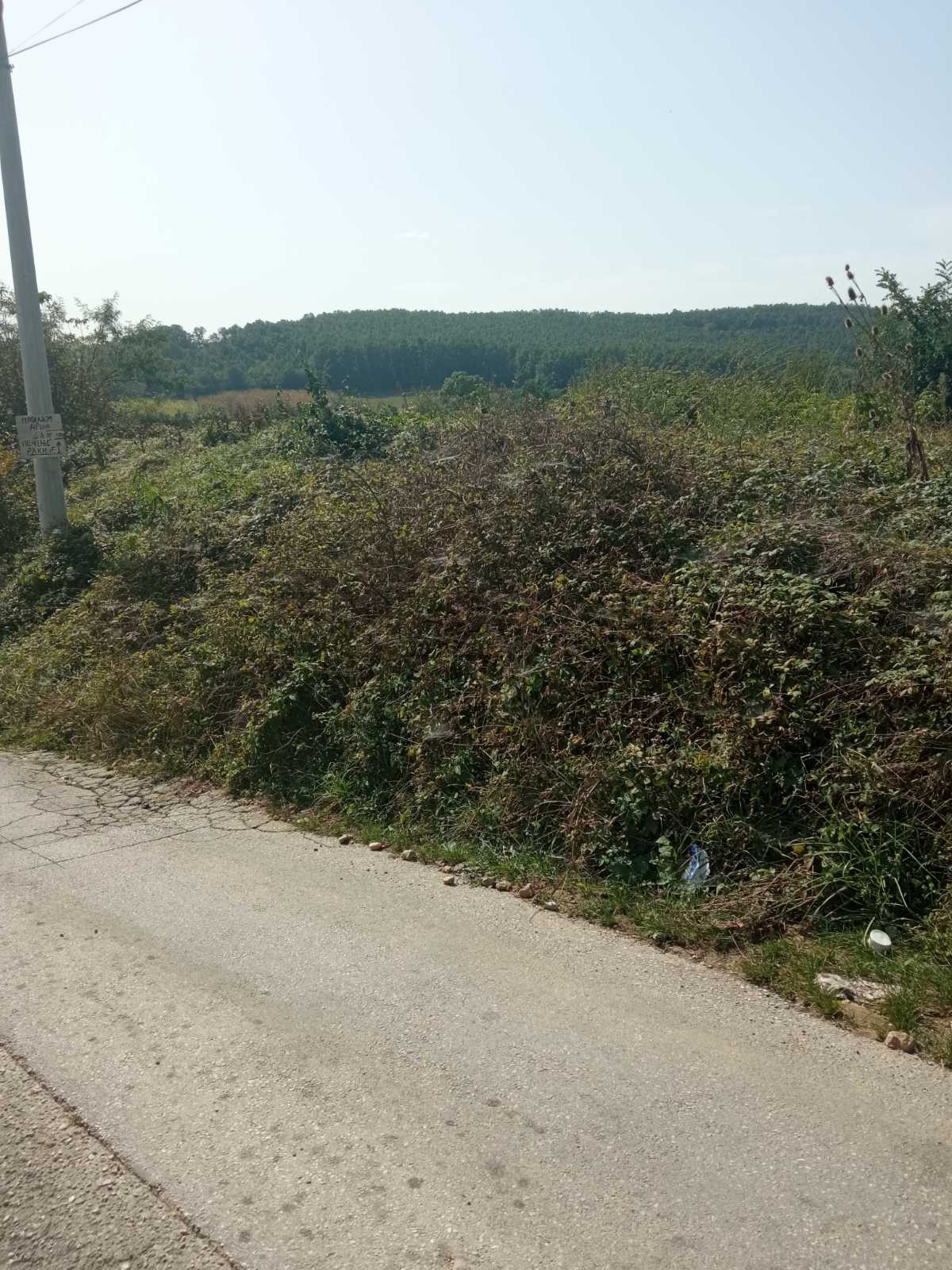 Plac, Kraljevačkog bataljona ID: p-09838 1