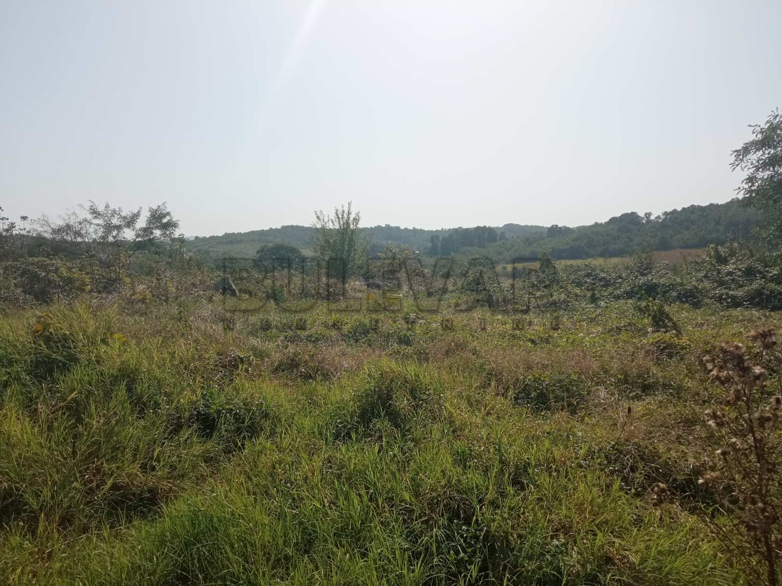 Plac, Kraljevačkog bataljona ID: p-09838 2