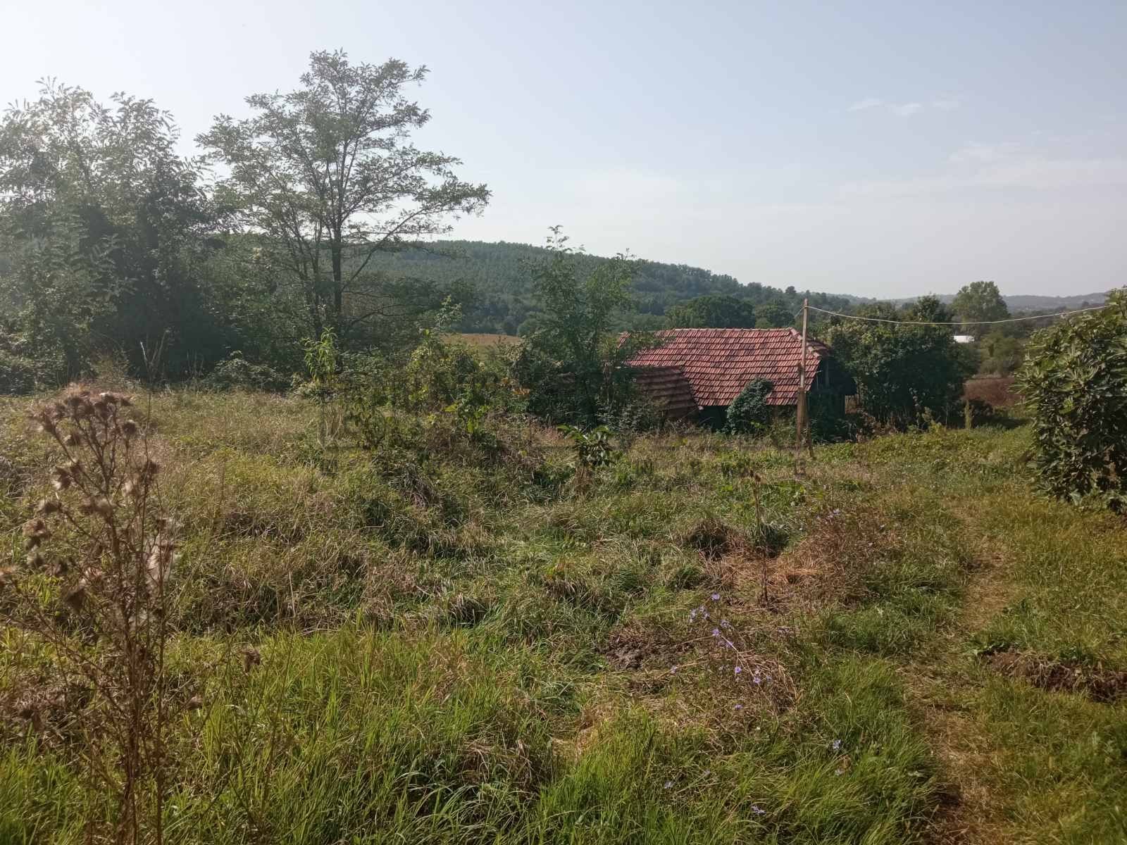 Plac, Kraljevačkog bataljona ID: p-09838 3