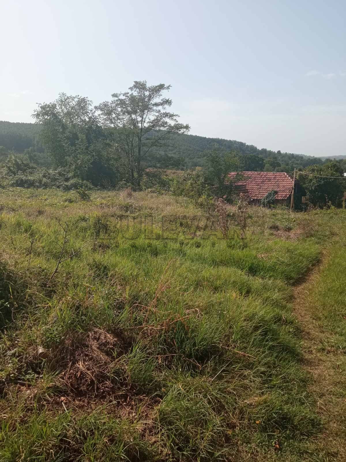 Plac, Kraljevačkog bataljona ID: p-09838 4