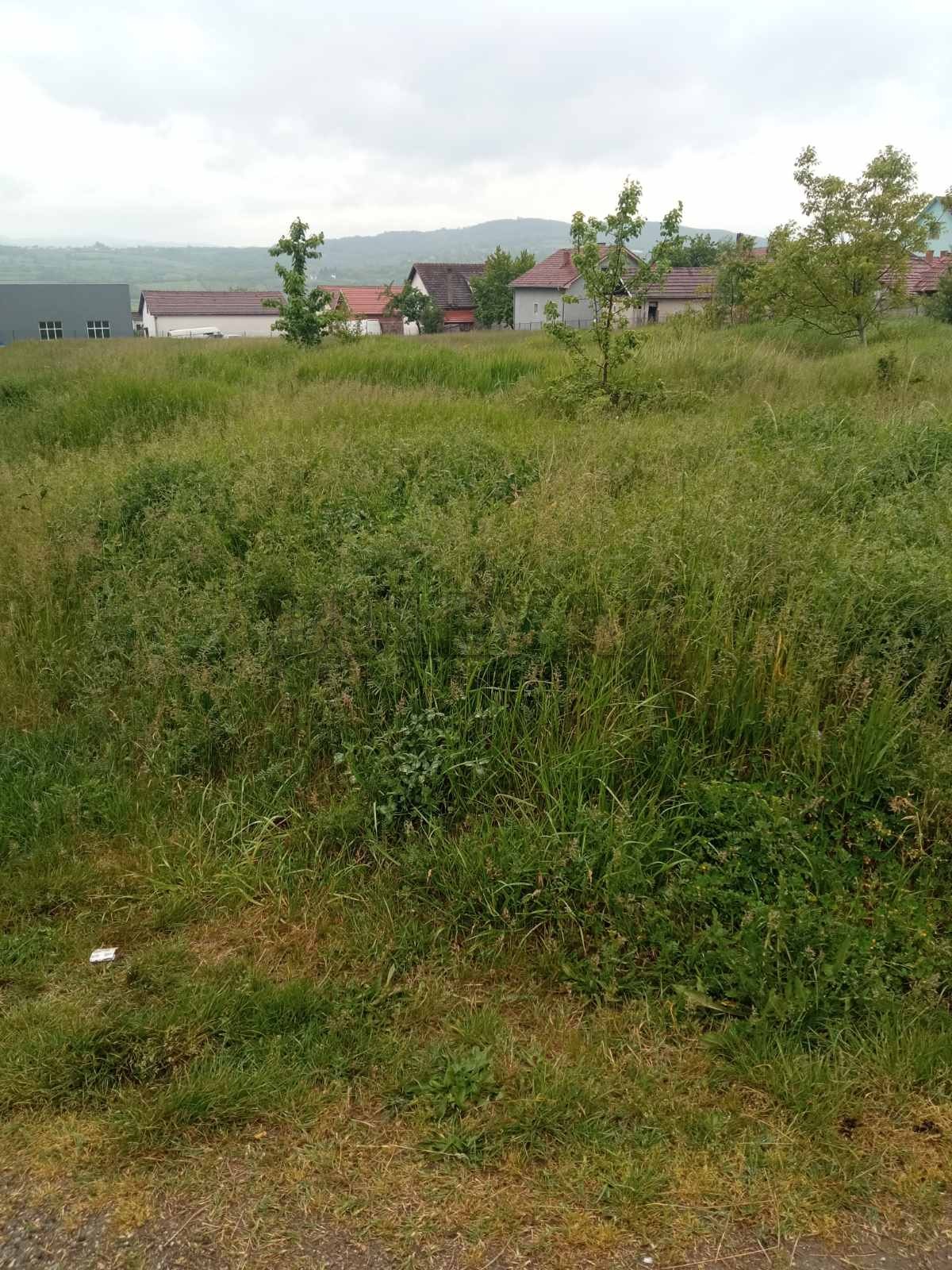 Plac, Lipnička ID: p-08604 2