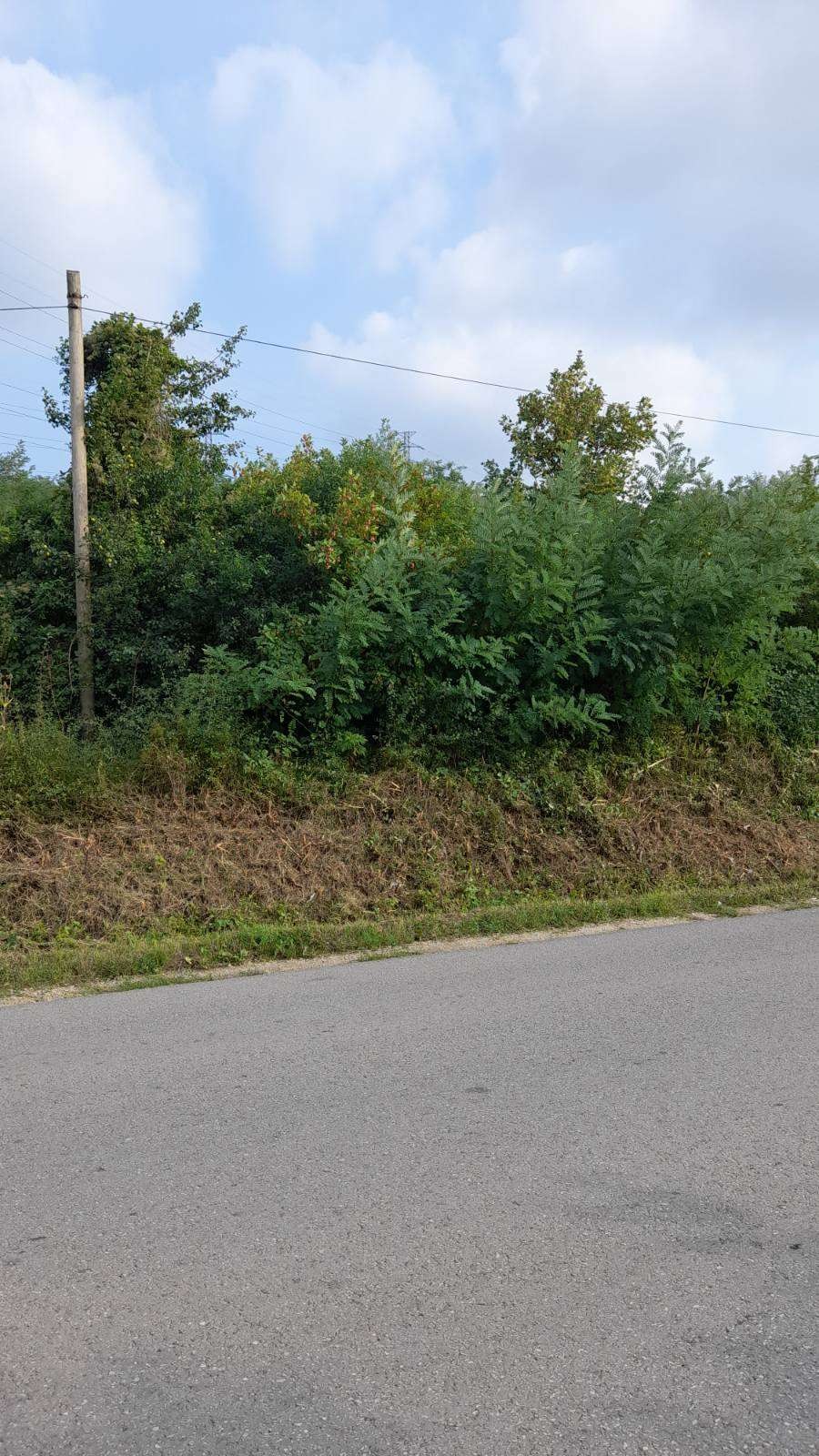 Plac, Maršić, 19. oktobra ID: p-06533 3