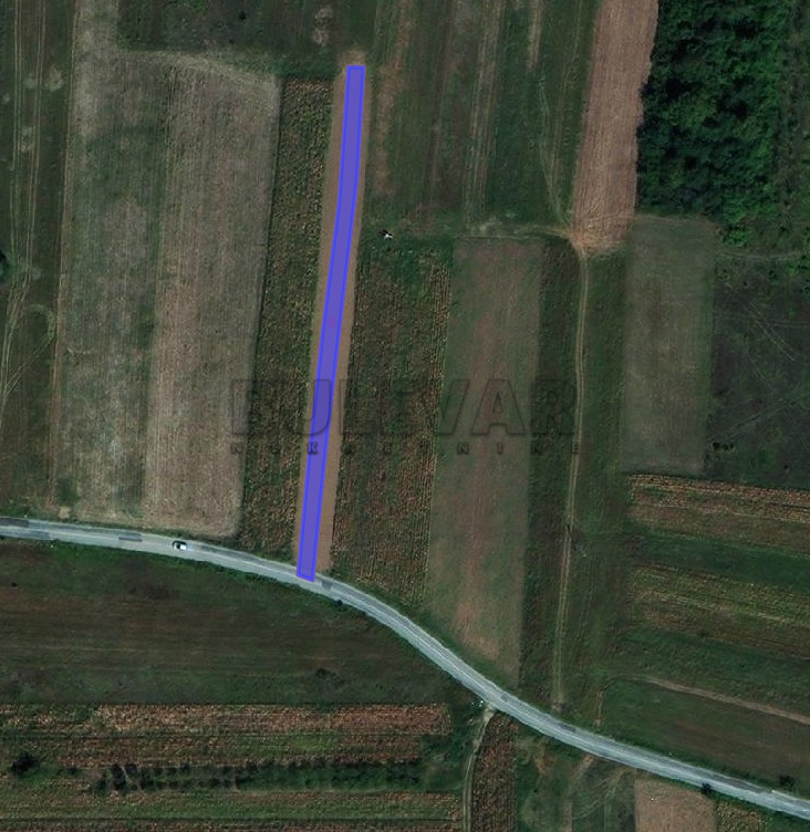 Plac, Medoševac, Medoševac ID: p-07218 1