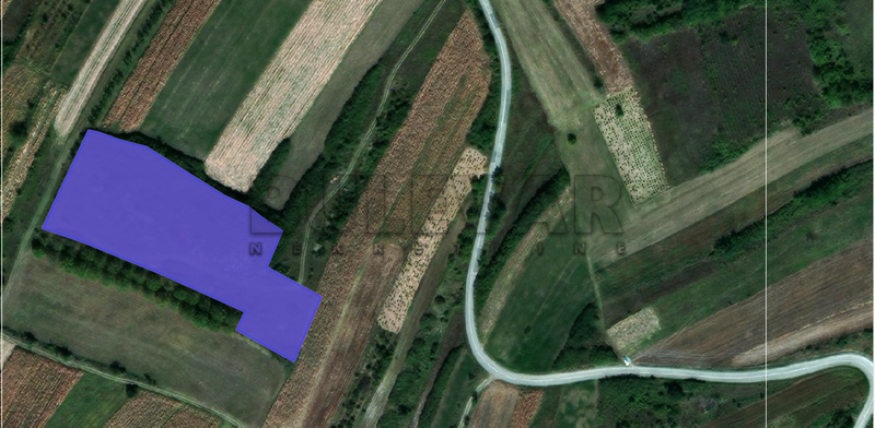 Plac, Miljkovac, Cara Uroša ID: p-09173 1