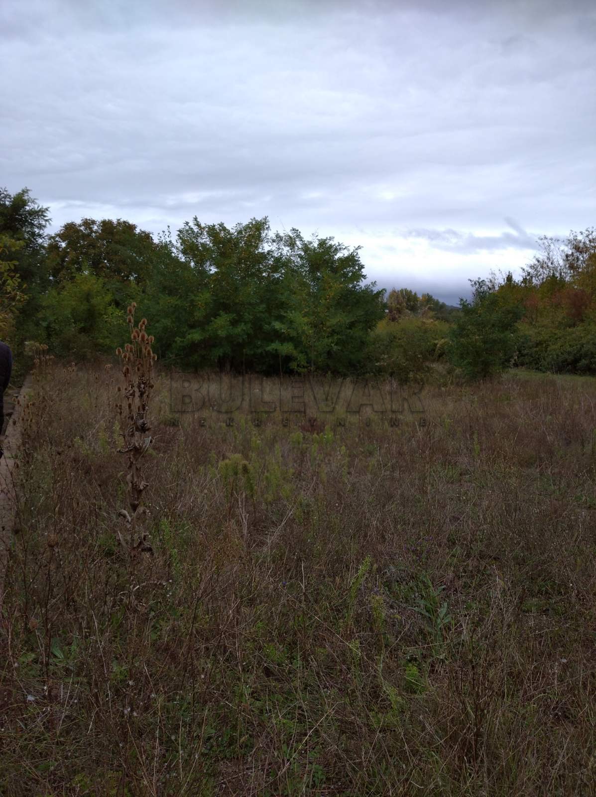 Plac, Niška Banja, Niška Banja ID: p-04109 3