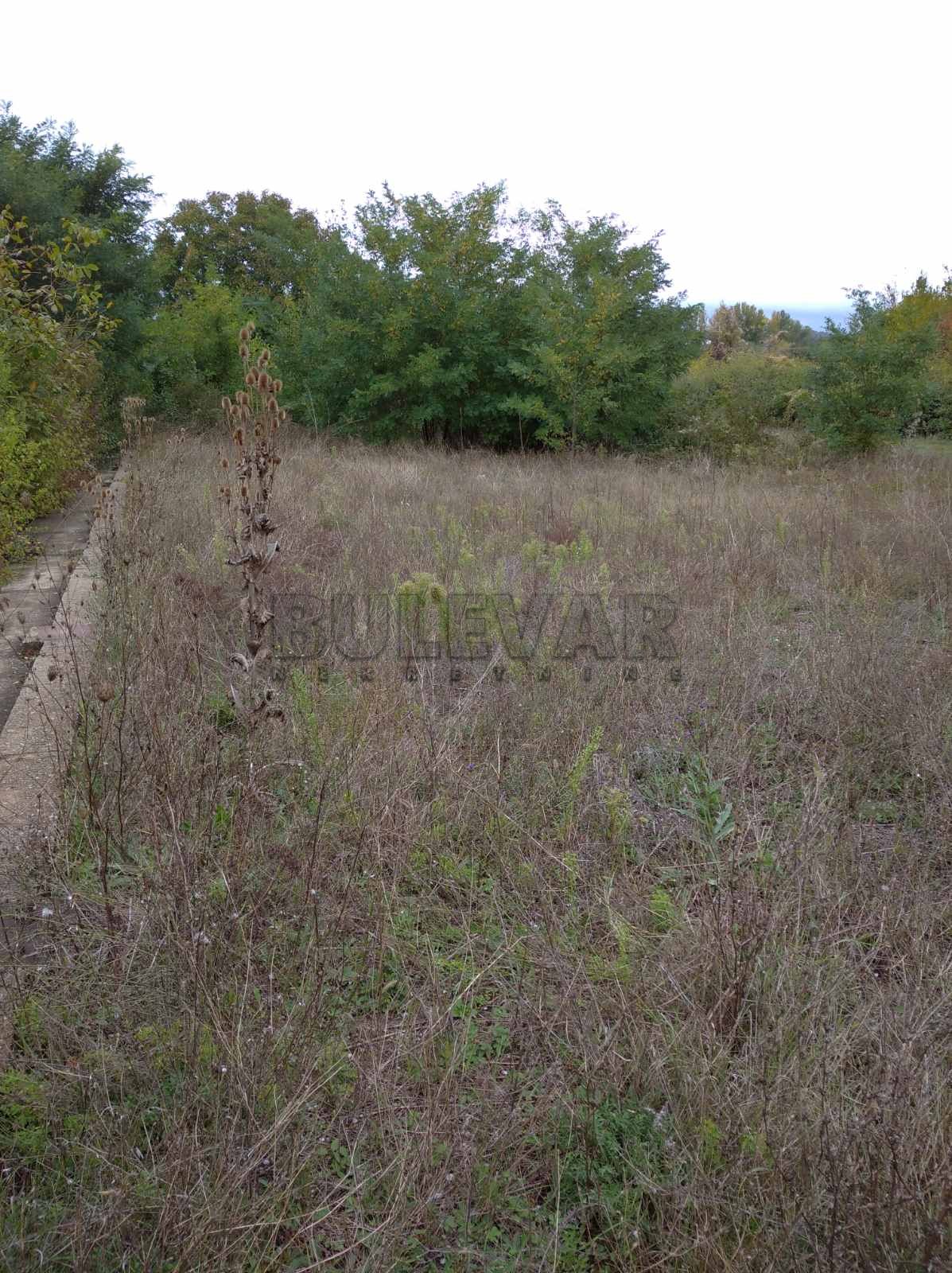 Plac, Niška Banja, Niška Banja ID: p-04109 4