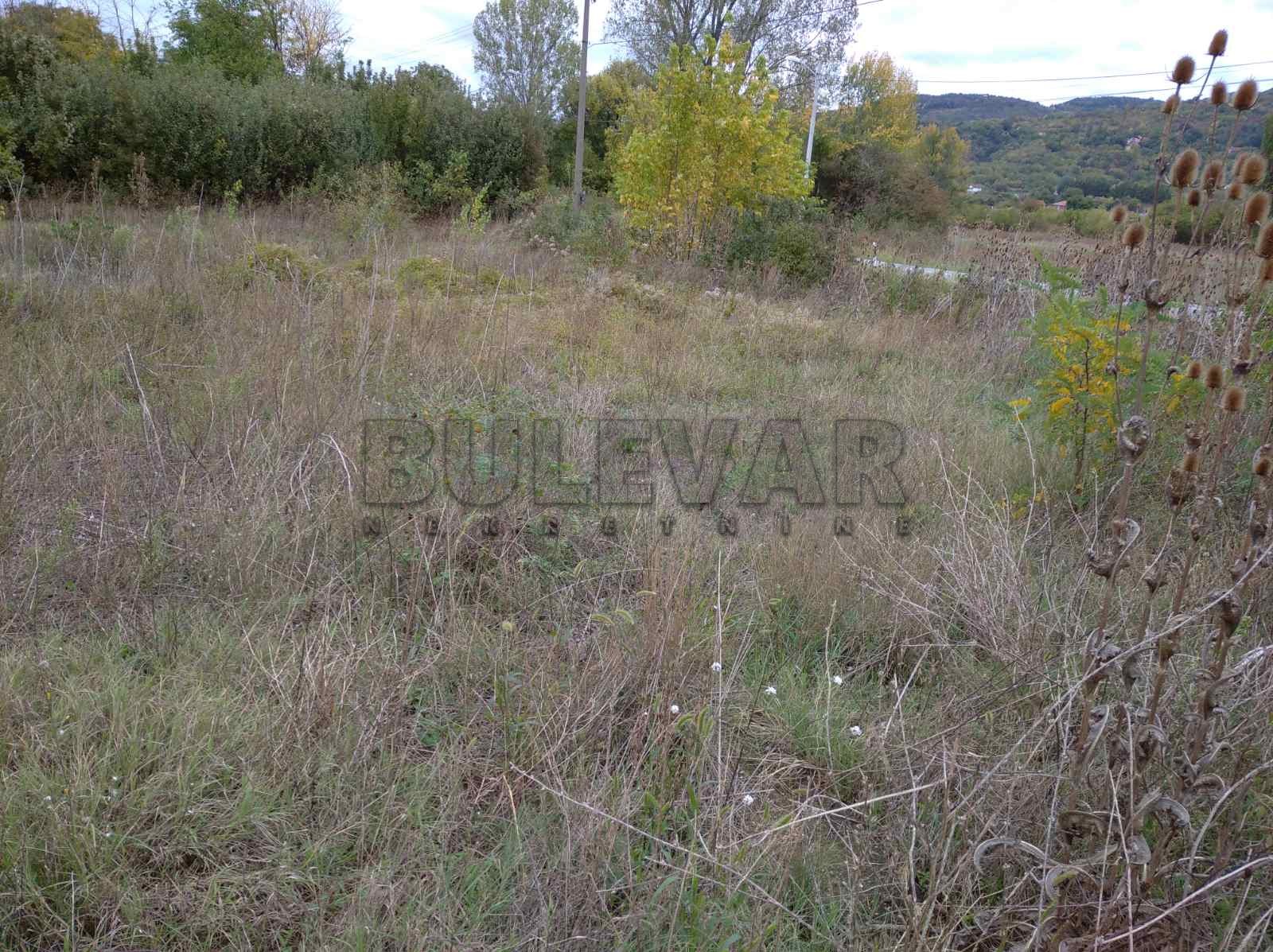 Plac, Niška Banja, Niška Banja ID: p-04109 5