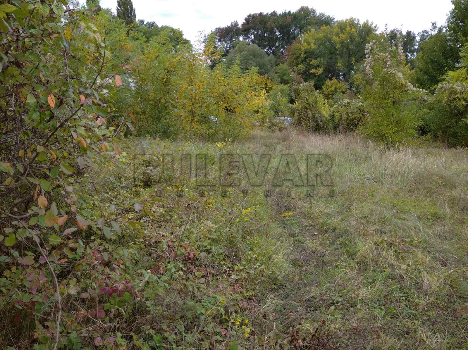 Plac, Niška Banja, Niška Banja ID: p-04109 6