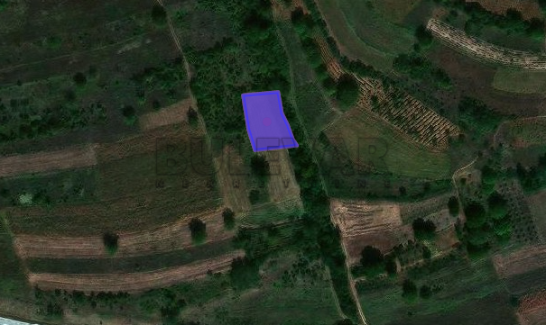 Plac, Niška Banja, Prosek ID: p-05835 2