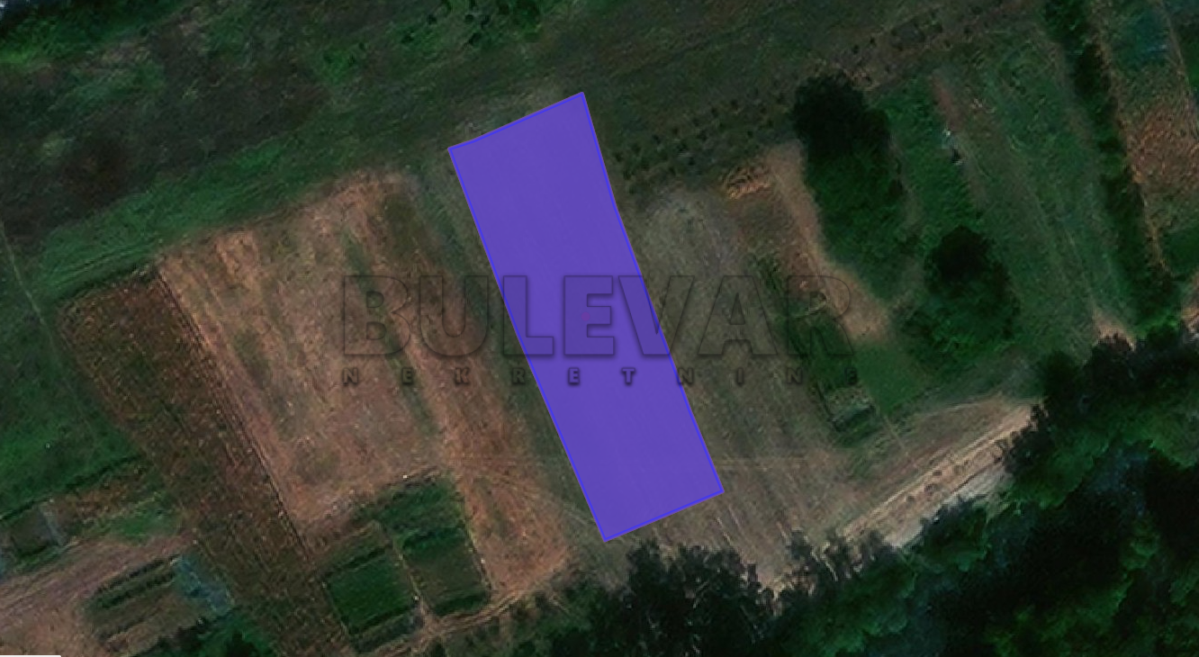 Plac, Niška Banja, Prosek ID: p-06261 2