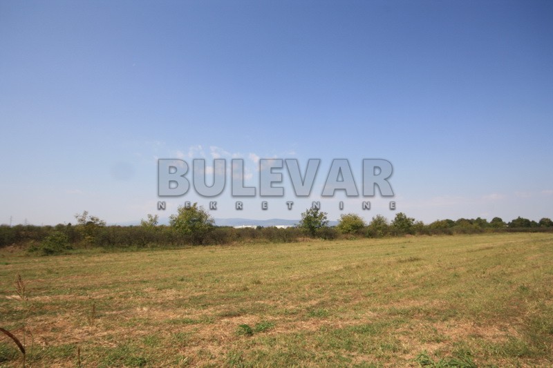 Plac, Palilula, Dimitrija Tucovića ID: p-01833 6