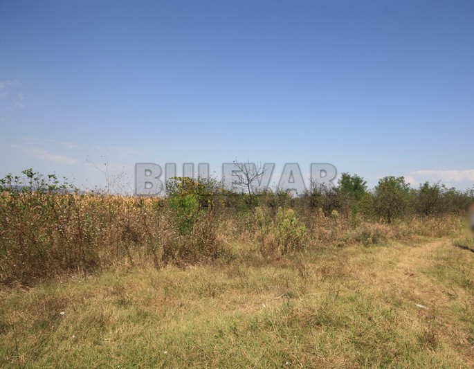 Plac, Palilula, Dimitrija Tucovića ID: p-01833 3