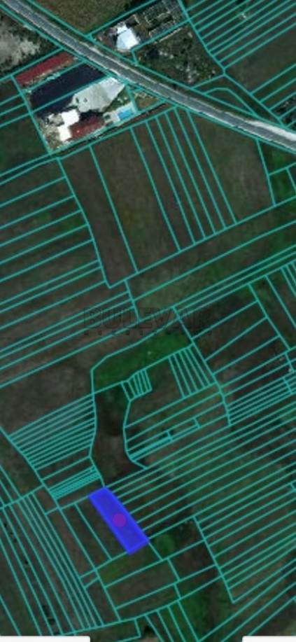 Plac, Palilula, Donje Medjurovo ID: p-010675 2