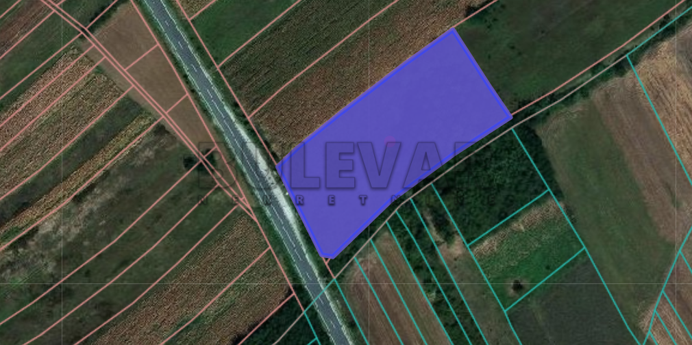 Plac, Palilula, Donje Medjurovo ID: p-07999 2