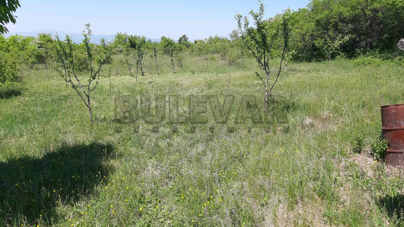 Plac, Palilula, Donje Vlase ID: p-03857 3