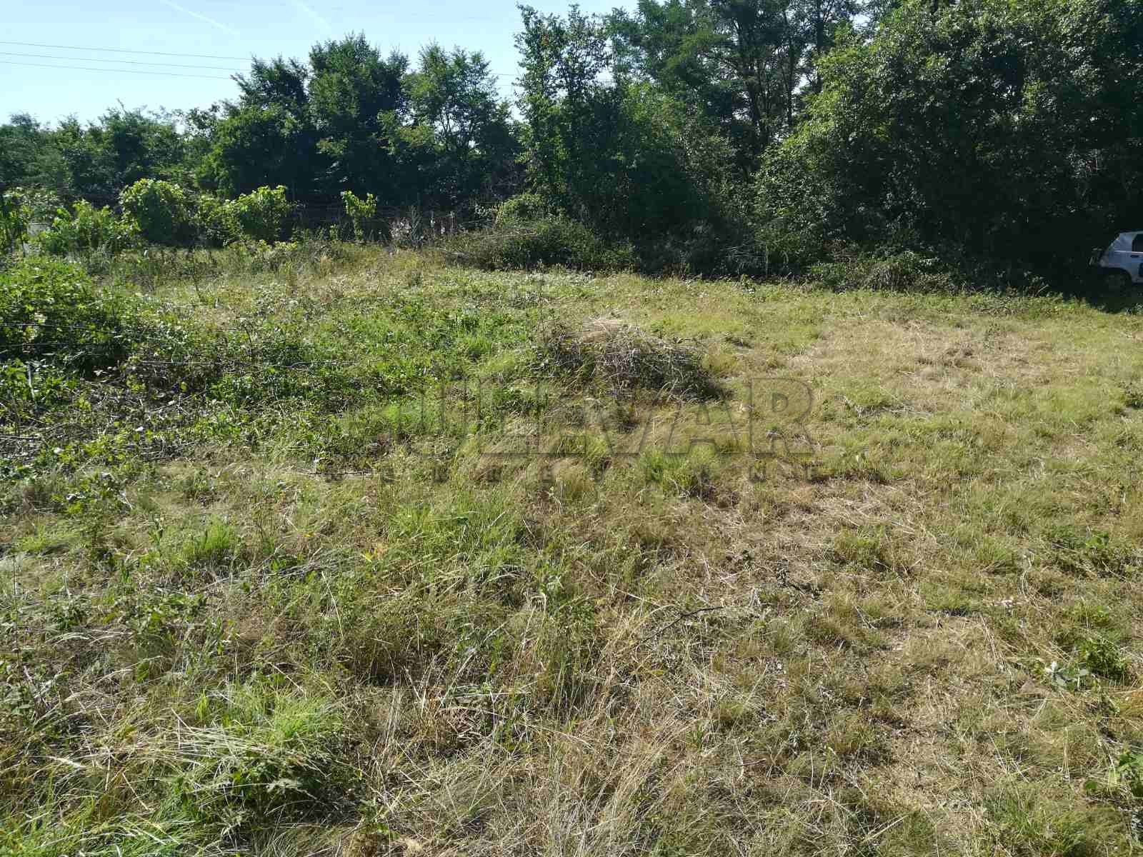 Plac, Palilula, Donjovlaška ID: p-03628 2