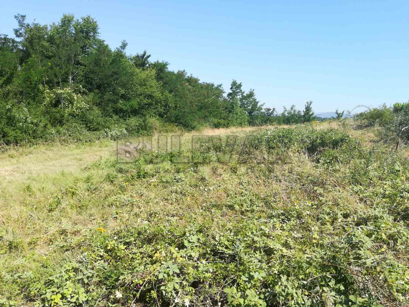 Plac, Palilula, Donjovlaška ID: p-03628 3