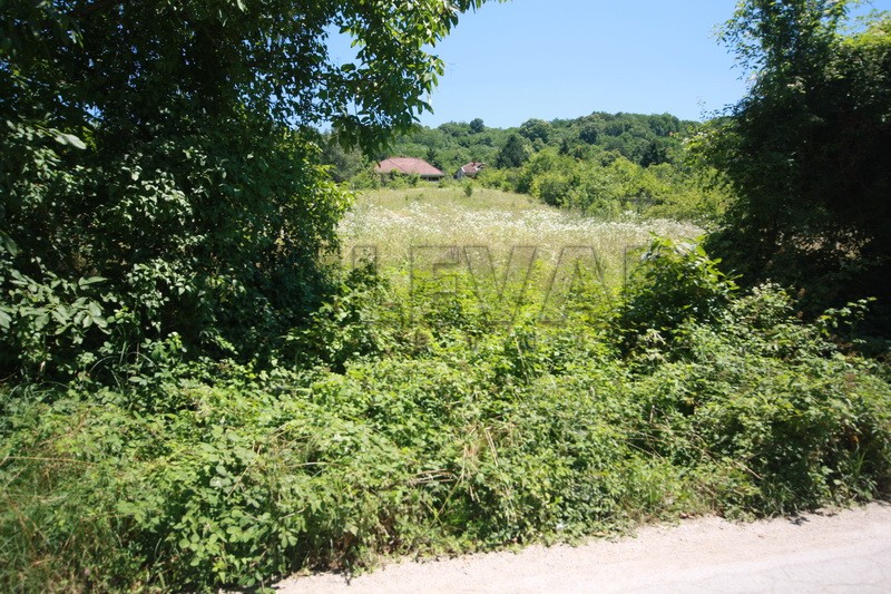 Plac, Palilula, Gabrovac ID: p-01432 1