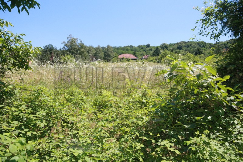Plac, Palilula, Gabrovac ID: p-01432 3
