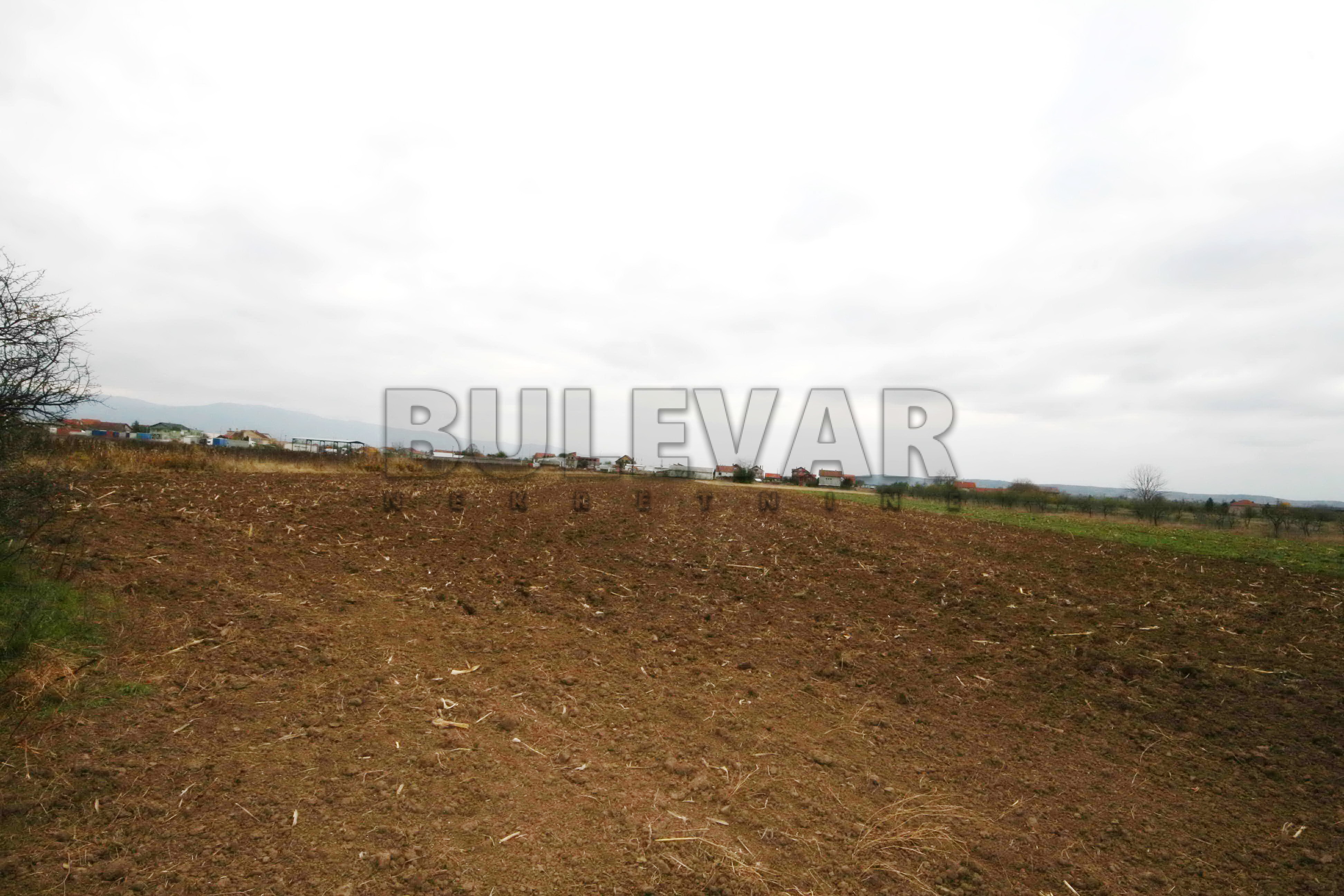 Plac, Palilula, Novo selo ID: p-01881 3
