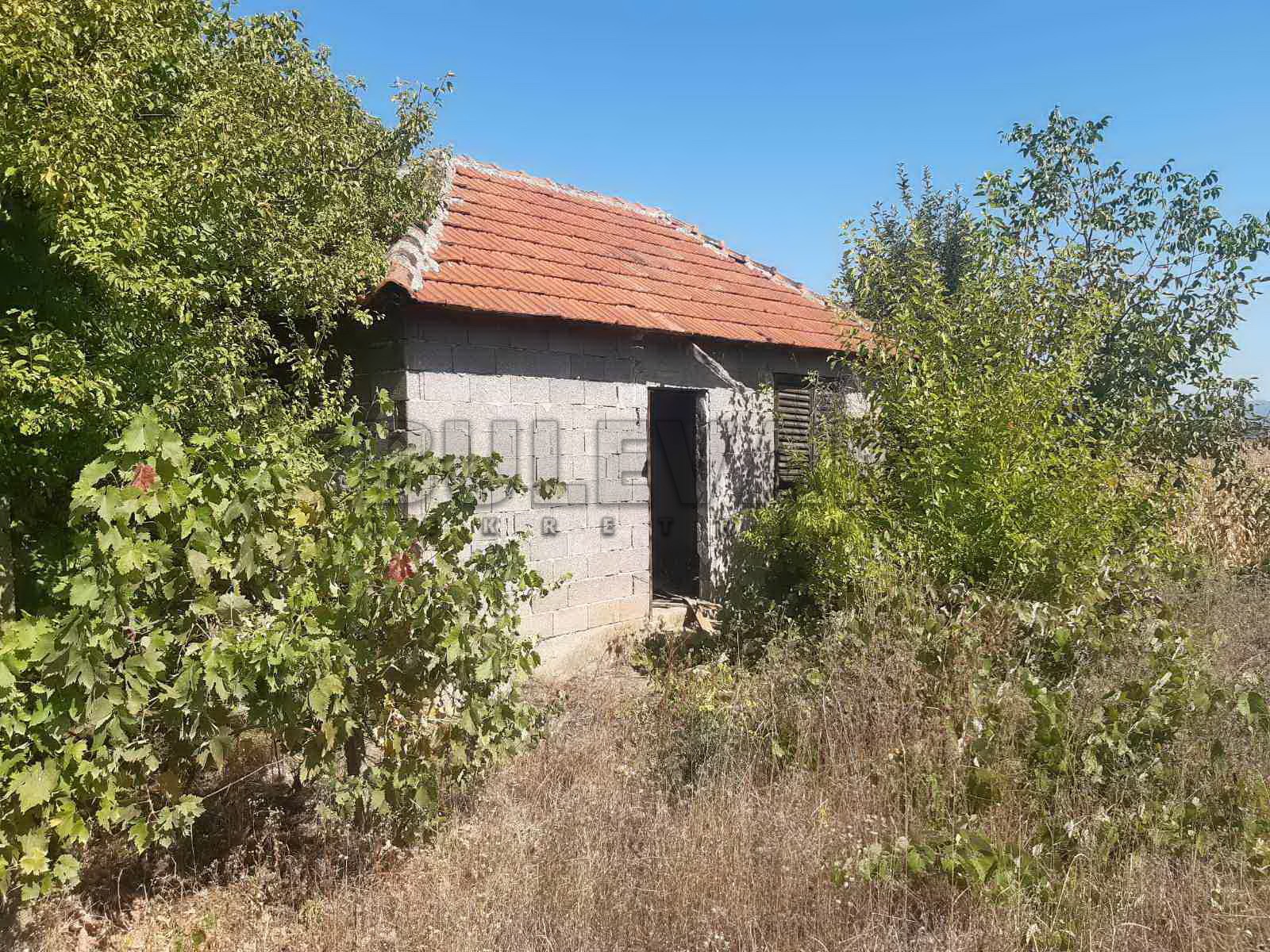 Plac, Palilula, Novo selo ID: p-04114 1