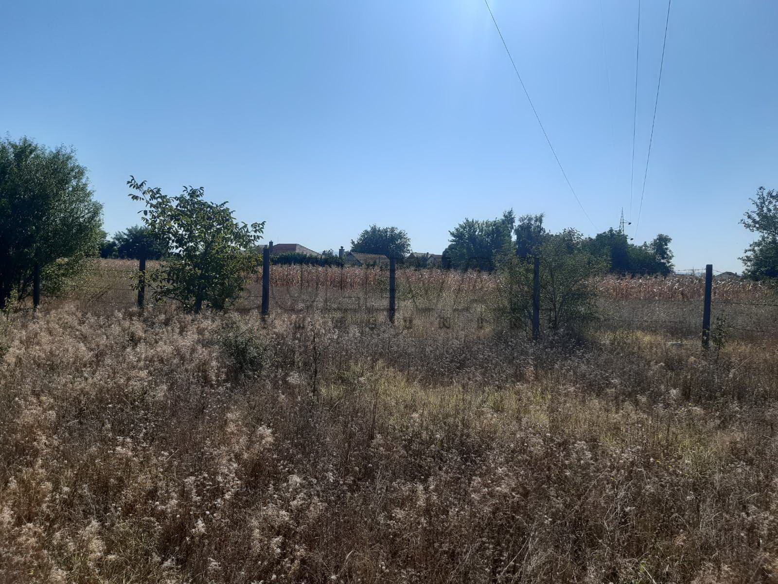 Plac, Palilula, Novo selo ID: p-04115 2