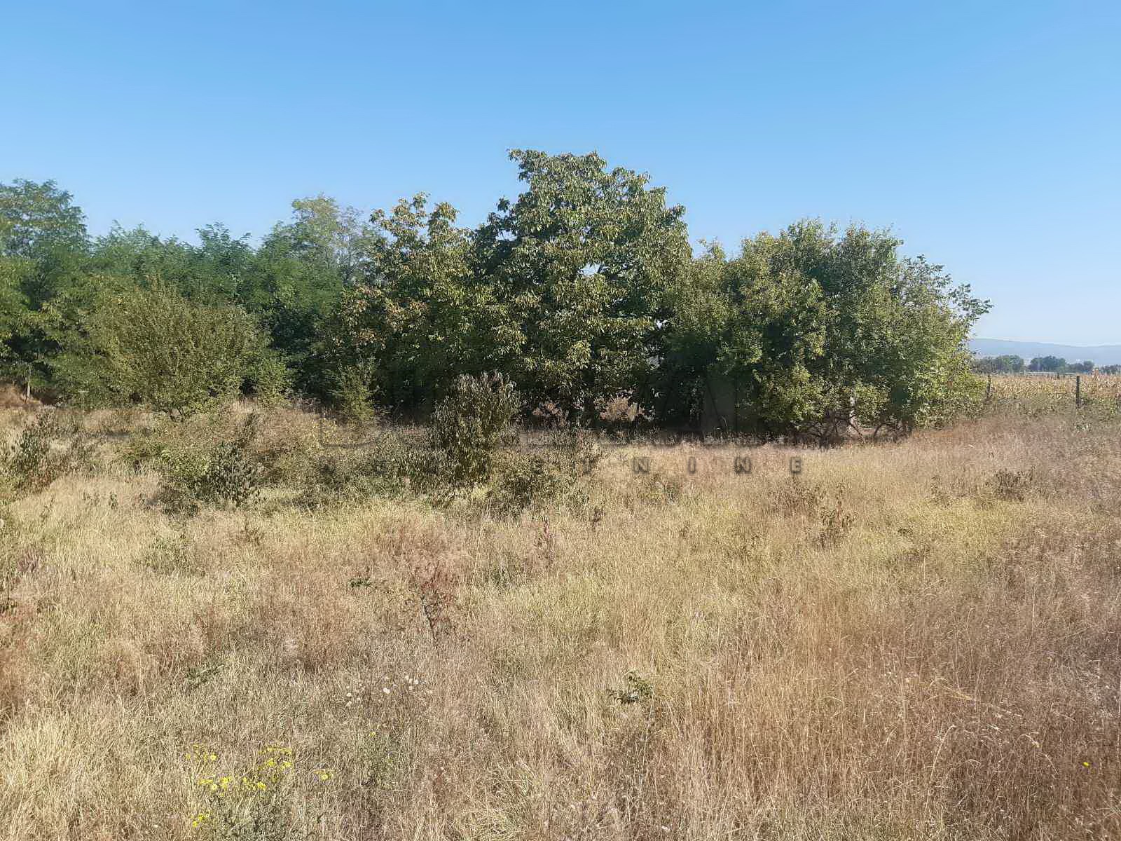 Plac, Palilula, Novo selo ID: p-04116 6