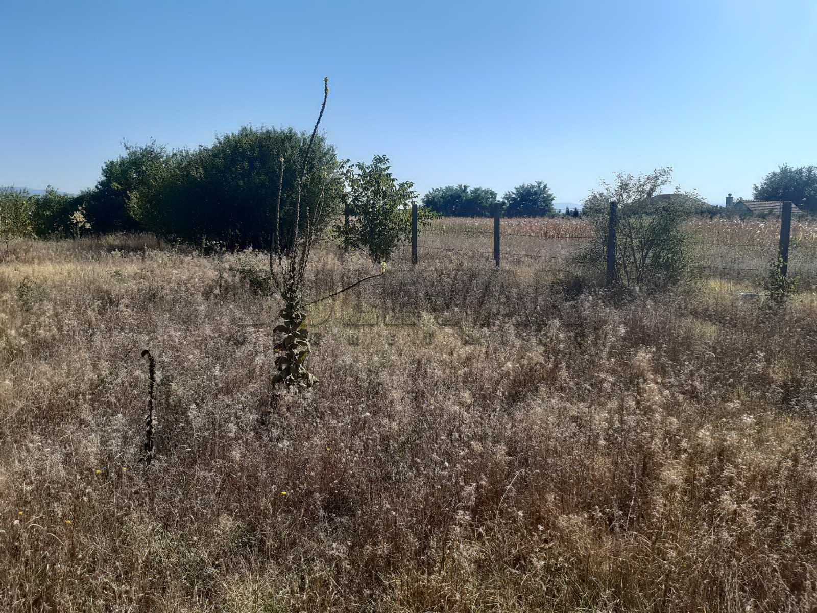 Plac, Palilula, Novo selo ID: p-04116 4