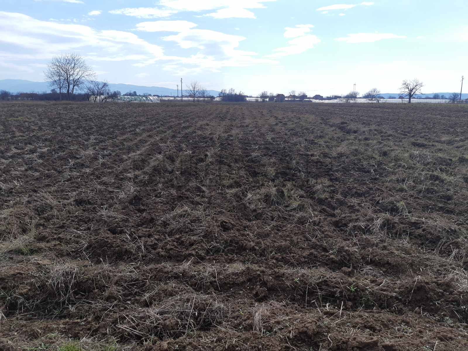 Plac, Palilula, Novo selo ID: p-05147 2