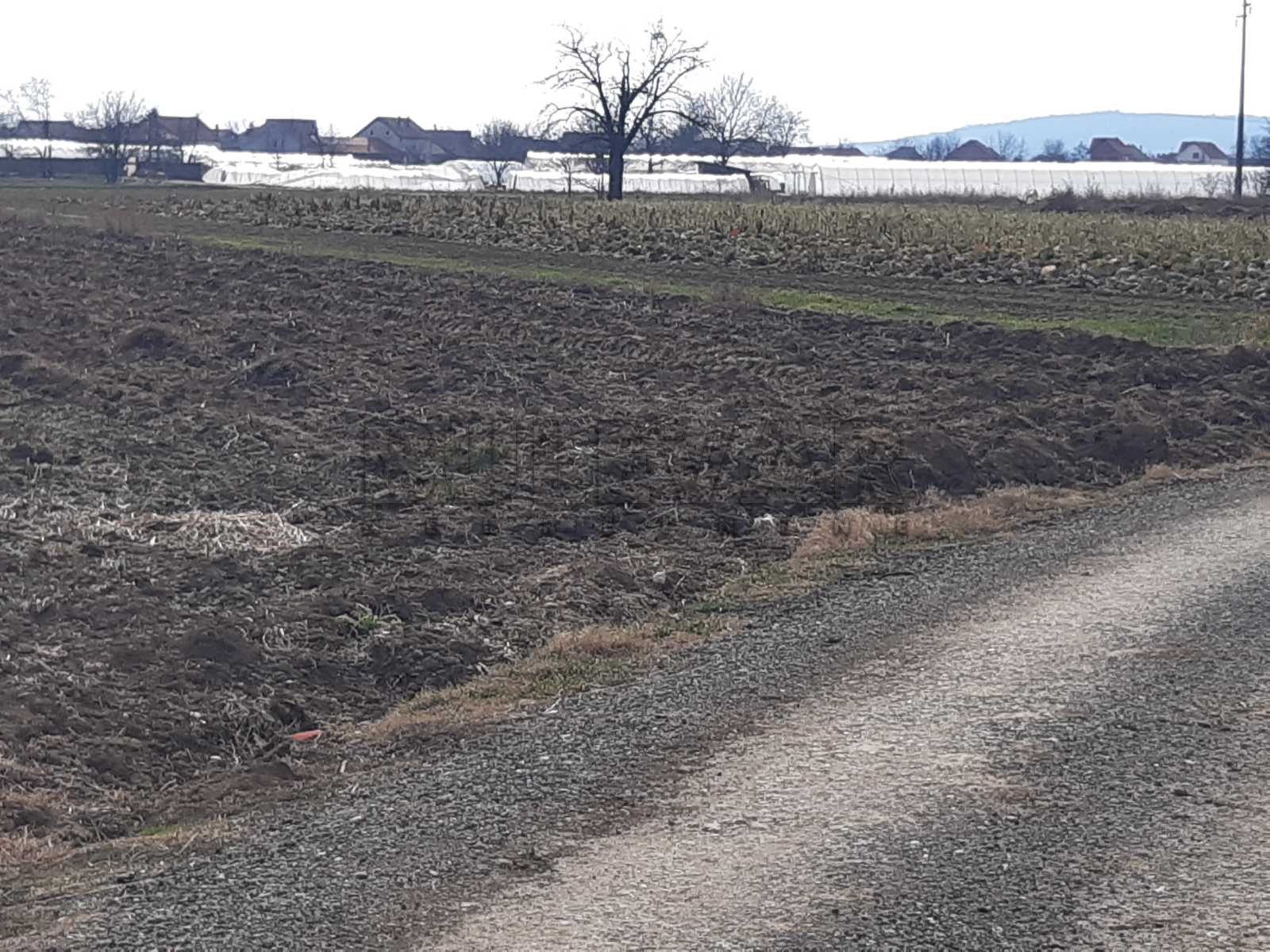 Plac, Palilula, Novo selo ID: p-05147 3